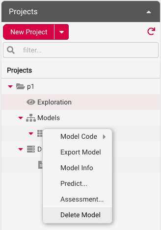 Deleting a Model
