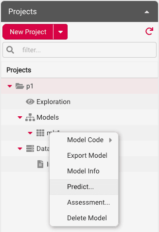 Model Predict